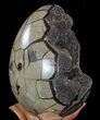 Septarian Dragon Egg Geode #64254-2